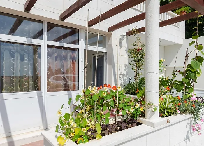 Mamma Mia מליני